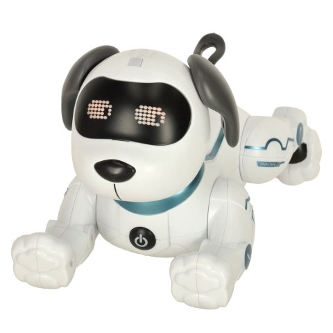 Pies piesek interaktywny zdalnie sterowany na pilota RC robot skacze śpiewa Kik Sp. z o. o. Sp. k.