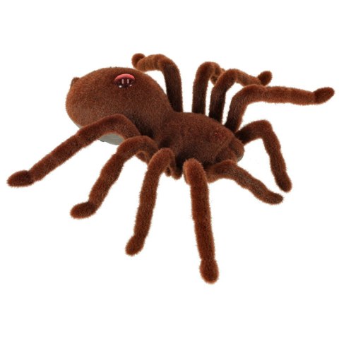 Pająk TARANTULA Zdalnie Sterowany robot + PILOT Kik Sp. z o. o. Sp. k.
