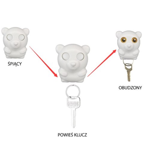 Wieszak na klucze- brązowy miś HaloFuture