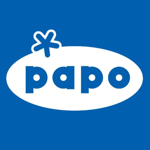 Figurka kolekcjonerska Żarłacz rafowy czarnopłetwy, Papo Sas Papo La Maison Des Figurines