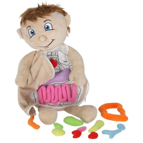 Lalka maskotka zabawka edukacyjna nauka anatomii chłopiec Kik Sp. z o. o. Sp. k.