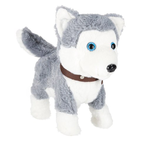 Piesek interaktywny na smyczy szczeka chodzi rusza ogonem Husky Kik Sp. z o. o. Sp. k.