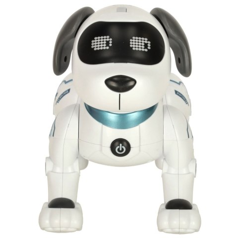Pies piesek interaktywny zdalnie sterowany na pilota RC robot skacze śpiewa Kik Sp. z o. o. Sp. k.