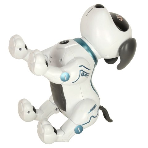 Pies piesek interaktywny zdalnie sterowany na pilota RC robot skacze śpiewa Kik Sp. z o. o. Sp. k.