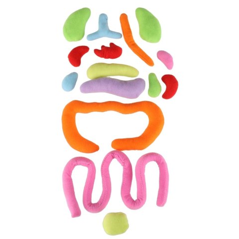 Lalka maskotka zabawka edukacyjna nauka anatomii dziewczynka Kik Sp. z o. o. Sp. k.