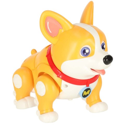 Pies piesek interaktywny robot Corgi świecące uszy muzyka Kik Sp. z o. o. Sp. k.